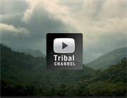 survival