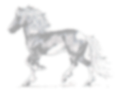 epona