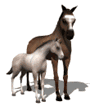 epona