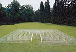 labyrinth