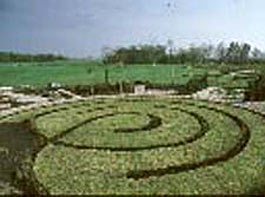 labyrinth