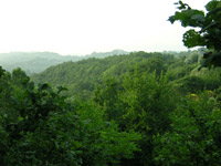 minotauro