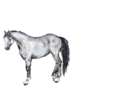epona