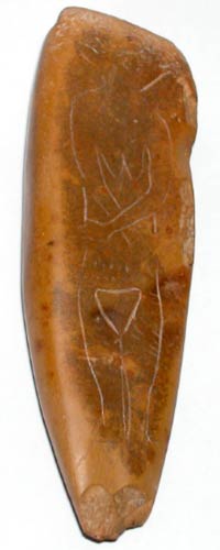 venere tolentino